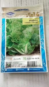 เจียไต๋ ผักกาด ขาวใหญ่ จำนวน 2100 เมล็ด/ซอง เมล็ดพันธุ์ ลอตใหม่ งอกดี ปลูกง่าย กาบใหญ่ ใบหยิก ปลูกได้ทุกฤดูกาล npkplant