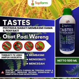 Obat Semprot Buah Padi / Obat Supaya Bobot Padi Berat / Nutrisi Pengisi Bulir Padi / Obat Pelebat Buah Padi /Obat Supaya Anak Padi Banyak / Obat Padi