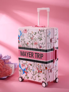 MAYERTRIP Hand-Painted 20-Inch Suitcase High-Aesthetic Password-Locked Carry-On Wheel Spinner for Travel Fashionable Hardshell