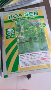 Hạt Giống Dưa Leo F1 VL-640 HOA SEN (Gói 10gr)