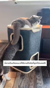 ขนาด ใหญ่ บ้านแมว ที่ลับเล็บแมว+เตียงนอน แมวอ้วนก็นอนได้ วัสดุทนทานแข็งแรง สักหลาด พื้นที่กว้างขวาง คอนโดแมว บ้านลับเล็บแมว ของเล่นแมวปีน ของเล่นแมว