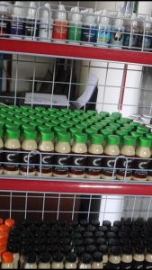 SERBUK PENGUMPUL IKAN MAS BABON Original ASLI 100% Rahasia Juara Pancing Galatama Harian dan Lomba