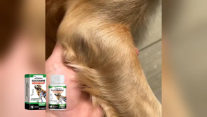 Dog Glucosamine Hip Joint Chews 80 Tablets Chondroitin Joint Supplement for Dogs Chicken Flavor Soft Chews for Hip & Joint Support Improve Mobility Flexibility Vitamin Complex Joint Care Tablets for Senior & Active Dogs