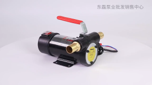 12V/24V/220V Protable Electric Pumping Pump 80L/Min Self-Priming Pump DC Diesel Pump Fuel Dispenser