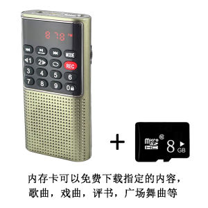 Portable Mini L-328 Radio Multifunctional Recording Card Soundbox for Elderly by HAPPY COMPANIONS with Digital Display and UV Paint