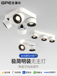 Full Spectrum Surface Mounted Spotlight Adjustable Angle Foldable Bean Gall Lamp Three Four Double Head Dining Room Multi-Head Downlight without Main Lamp