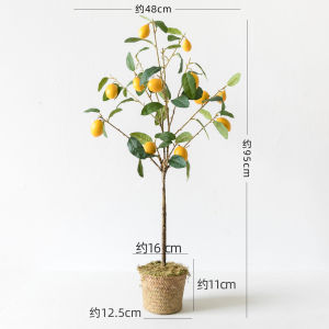 Trái Cam Vàng Giả Trang Trí Cây Hoa Quả Trang Trí Nhà Mới Năm Mới Trang Trí Nhà Vườn Trang Trí Nhà Cửa Trang Trí Nhà Vườn