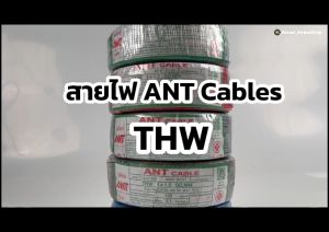 ANT Cables สายไฟ THW 1x 2.5 sq.mm ความยาว 100 เมตร/ขด ( สาย IEC01 สายทองแดง แกนเดี่ยว)