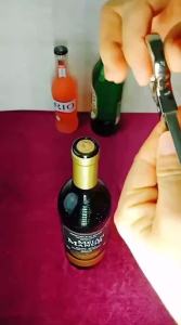 Two-Pronged Cork Puller Wine Opener Professional Red Wine Champagne Sparkling Wine Bottle Stopper Sealer Bar Accessory