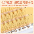 Browneye False Eyelashes Coffee Brown 10 Pieces per Box Natural Looking Doll-like Extensions for Any Skin Type. 