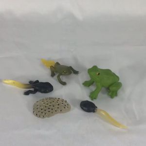 Mainan Binatang Edukasi Anak TK SD Hewan Belajar Mengenal Metamorfosis Simulasi hewan mainan edukatif pertumbuhan siklus hidup Montesori tk alat peraga katak ikan ayam nyamuk ular kepik capung lebah