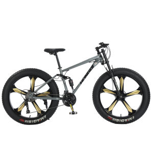 HONGQI | Wide Tyre Shock Absorbing All-terrain Mountain Bike