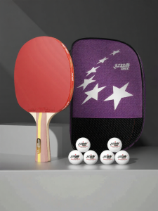 DHS | Beginner Friendly Ping Pong Racket