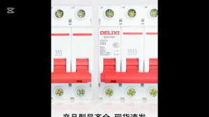 1P 2P 3P MAX 50A 10A 20A Mini Circuit Breaker Short Overload Protector 1P+N/3P+N Leakage Protection Commercial Use