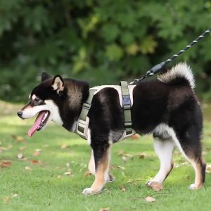 Pet Dog Cat Walking Jacket Harness Leash Adjustable Reflective Harness Vest for Heavy Duty Large Dogs Pet