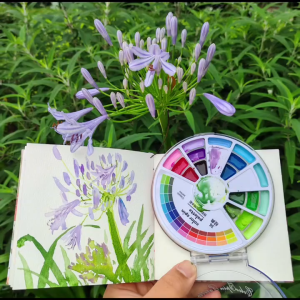 Superior Solid Watercolor Paint Set 24/36Colors Spin Water color Palette Compact Portable For Art Beginner painting
