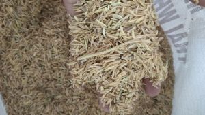 Sekam Padi Murah | Sesuai untuk Ayam Kambing Tanaman & Kompos