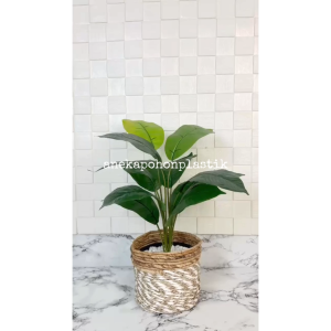 Tanaman Hias Pohon Artificial Daun Keladi Hijau X12 Cover Pot Seagrass Coklat Mini Hiasan Dekorasi Ruangan Meja Cafe Aesthetic