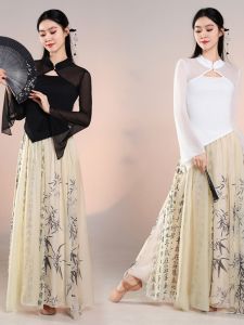 Classical Dance Practice Suit Women Long Sleeve Cheongsam Collar Slim Fit Top Performance Costume Fengwu Dance Outfit Set