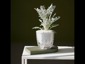 Hydroponic Flower Pot Transparent Self Watering Pots for Indoor Plants Flowers