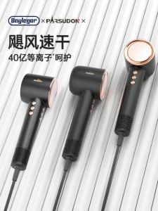PASUODENG | Negative Ion Hair Protection Low Noise High Speed Hair Dryer