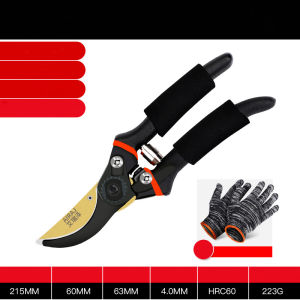 AIRAJ กรรไกรตัดกิ่งไม้ ราคาที่รวม (10 ประจำภาพ) - กรรไกรตัดกิ่ง กรรไกรทำสวน 10 นิ้ว