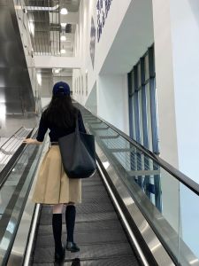 Anti-Wrinkle Fashionable Intellectual Style Pleated Half Skirt Womens Spring Autumn New American Retro Gored Skirts