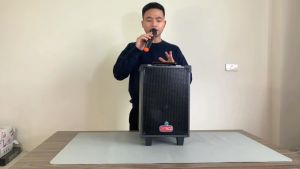 Loa kéo bluetooth Ontekco 8001 bass 20 cm kèm mic đơn không dâynghe nhạc hát karaoke.