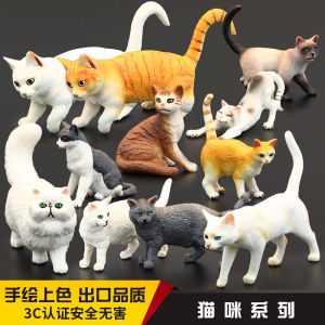 Solid Animal Model Toy Realistic Persian Cat Benman Yellow Cat Black White Blue Cat Countryside Gift Display Piece for Kids