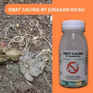 Obat Cacing Burung Kicau Mengobati Burung Cacingan Mencret Untuk Murai Sogon Perkutut Kenari Dll