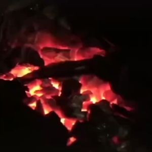 ดลเลอร์ 6 นิ้วพร้อมรูนิ้วมือ Hand Forged ดิจิทัลเชฟครัวเนื้อแหนบกระดูกตกปลา มีดล่าสัตธุ์