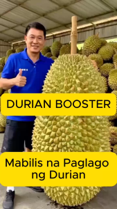 [FOR DURIAN] Organic Booster Durian 1000ml: Liquid NPK Fertilizer with Humic Acid for Fast Growth & Sweet Harvest