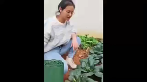 Driver Way Roll Path Garden Grass Lawn Edge Edging Border Fence Wall Garden Divider Lawn Edging