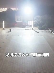 Maiyu | Waterproof Solar Courtyard Light 1-For-2 Configuration