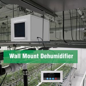 ผนังเครื่องลดความชื้นติดผนัง Wall Mount Dehumidifier Industrial Dehumidifier เครื่องลดความชื้นอุตสาหกรรม 156L เครื่องลดความชื้นอัจฉริยะ เหมาะสำหรับโรงเรือน/คลังสินค้า/ห้องคอมพิวเตอร์อิเล็กทรอนิกส์ - Lazada