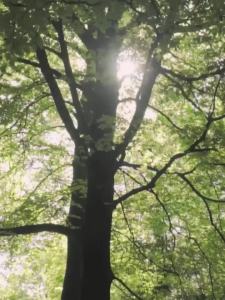 KELME Sports Windbreaker Men S Summer Windproof Football Waterproof Running Outdoor Training Jacket Punch