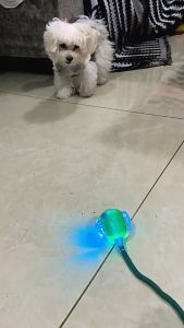 Interactive Pet Dog Toy Smart Cat Toys Rolling Pet Dog Ball Rechargeable Indoor Toy Bite resistant
