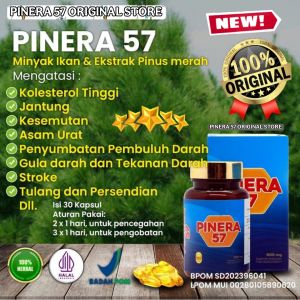 PAKET 4 BOX PINERA57 HERBAL 100% OBAT JANTUNG KOLESTEROL HIPERTENSI DIABETES JANTUNG