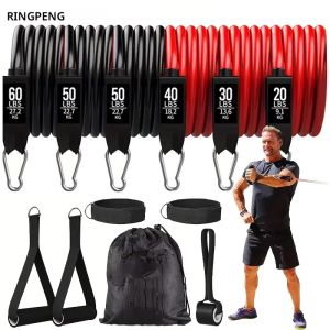 ชุดยางยืดออกกำลังกาย250lbs พร้อมที่ยึดประตูสายรัดข้อเท้าและกระเป๋าใส่โน๊ตบุ๊คแบบพกพาในร่มกลางแจ้งฟิตเนส