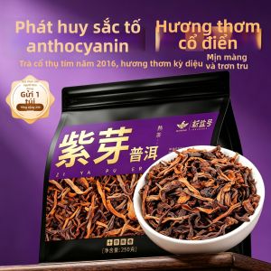 XINYIHAO | Trà Pu-erh Chín Từ Cây Cổ Thụ Vân Nam Nụ Tím Đảo Băng Trải Qua Hơn 10 Năm Lão Hóa