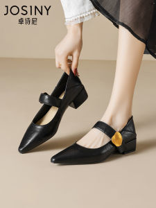 Josiny | Fashionable Mary Jane Chunky Heel Pointed Toe Womens Pumps