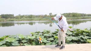 JORAN PANCING 1 SET LENGKAP KUAT pancing 1 set lengkap kuat joran pancing full set set tongkat gulungan pancing