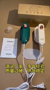 ข้ามพรมแดนแบบพกพาในครัวเรือนขนาดเล็กเตารีดไฟฟ้าเตารีดไอน้ำหอพักโรงแรมมือถือเครื่องรีดผ้าขนาดเล็ก