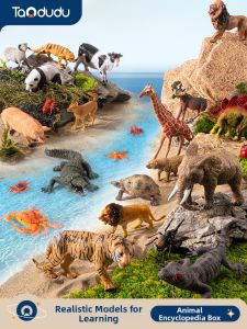 TAODUDU | Educational Animal Model Toy