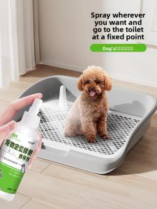 VOA | Potty Training Aid for Dogs