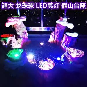 Hand-Made Dragon Special LED Luminous Super Large Rockery Body  Wish Background Base Model Ornaments