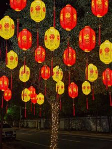 Outdoor Waterproof Winter Melon Lantern New Year Tree Decoration Fu Character Light Ancient City Spring Festival Atmosphere Light