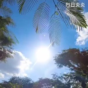 2 in 1 Remote Controller Screen Cover & Sunshade Hood Drone Accessories For DJI RC 2