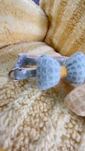 ปลอกคอสัตว์เลี้ยงปลอกคอแมวปลอกคอสุนัขปลอกคอแมวปลอดภัยหลายสี (จัดส่งในประเทศไทย) CW113