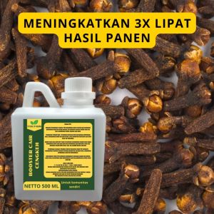 Pupuk Pelebat Cengkeh / Pupuk Cengkeh / Pupuk Booster Cengkeh / Pupuk Cengkeh